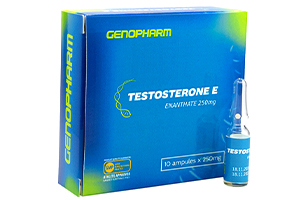 Testosterone Enanthate Genopharm 250 mg/ml